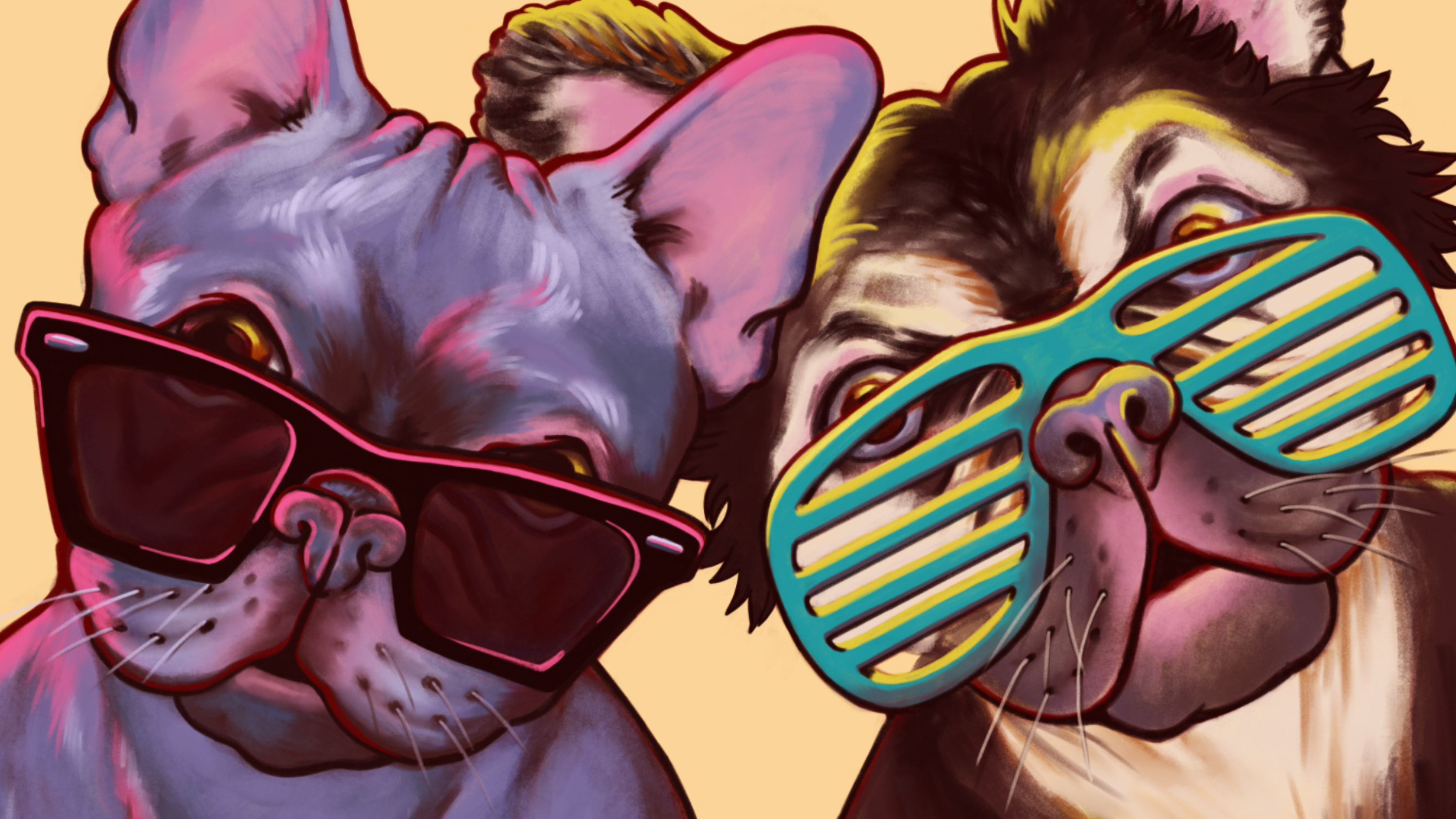 Colorful illustration of two French bulldogs named Lincoln and Monty, in sunglasses—one Lilac frenchie, Lincoln, in pink frames, one fluffy frenchie, Monty, in teal shutter shades.